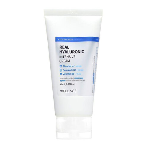 Wellage Real Hyaluronic Intensive Cream