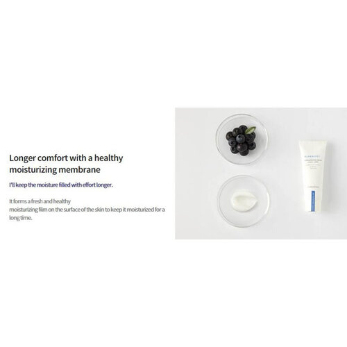 Innisfree Blueberry Rebalancing Cream Innisfree Blueberry Rebalancing Cream