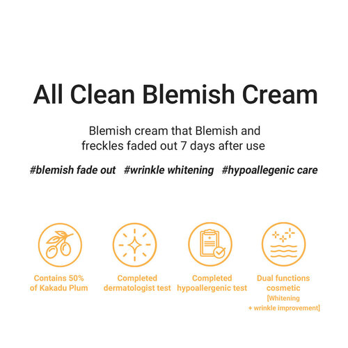 Heimish All Clean Blemish Cream Heimish All Clean Blemish Cream