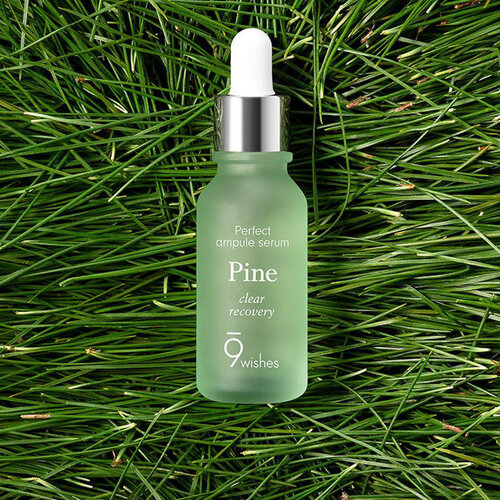 9Wishes Amazing Pine Ampule Serum 9Wishes Amazing Pine Ampule Serum