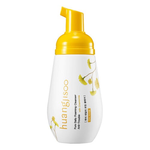 Pure Daily Foaming Cleanser Anti-Skin Trouble
