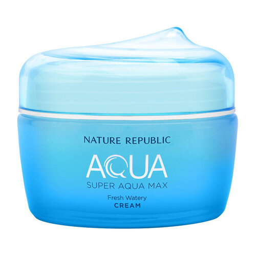 Nature Republic Super Aqua Max Fresh Watery Cream Nature Republic Super Aqua Max Fresh Watery Cream