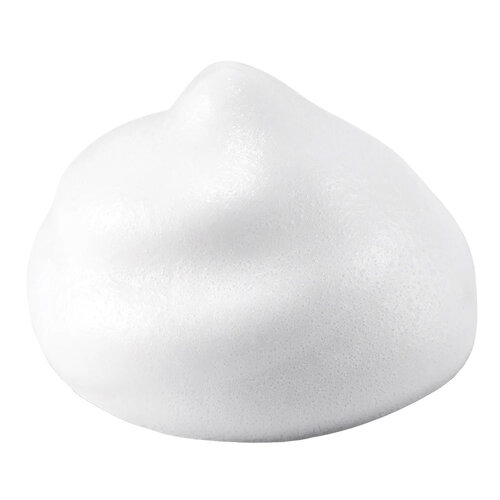 Neogen Dermalogy Real Fresh Foam Cereal Neogen Dermalogy Real Fresh Foam Cereal