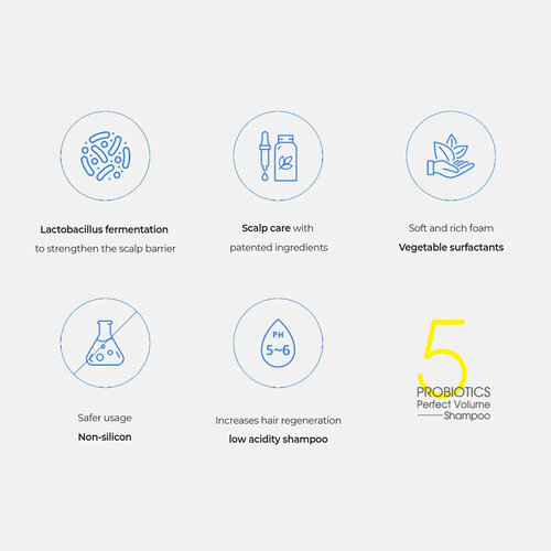 Masil 5 Probiotics Perfect Volume Shampoo Masil 5 Probiotics Perfect Volume Shampoo