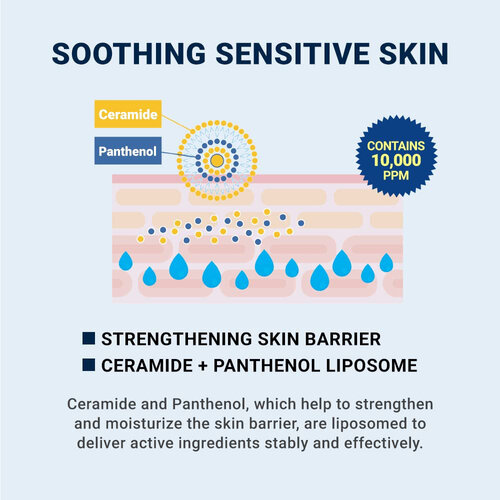 DERMA:B CeraMD Repair Cream DERMA:B CeraMD Repair Cream