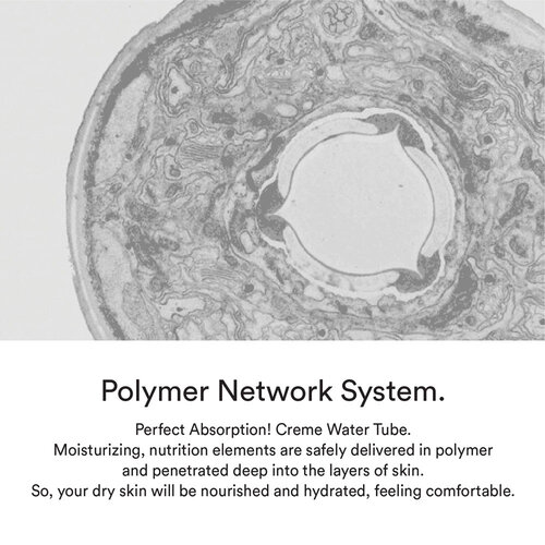 Abib Hydration Creme Water Tube Abib Hydration Creme Water Tube