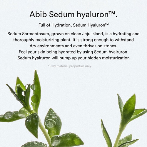 Abib Sedum Hyaluron Crème Hydrating Pot