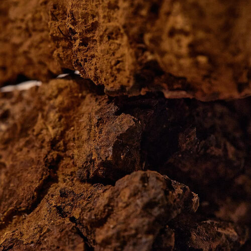 Kaine Chaga Collagen Charging Serum Kaine Chaga Collagen Charging Serum