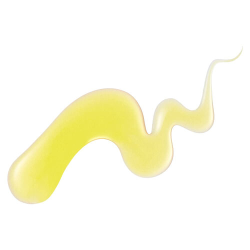 Healing Bird Ultra Protein Hair Oil Rich Healing Bird Ultra Protein Hair Oil Rich