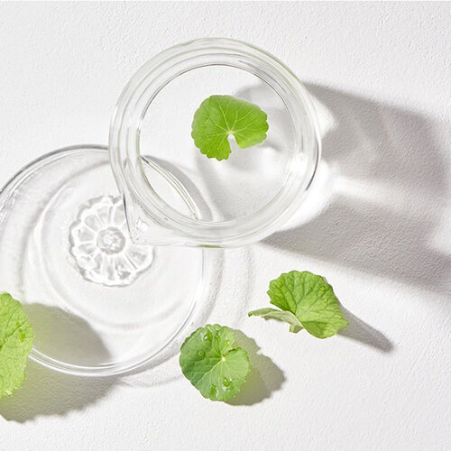 Mixsoon Centella Cleansing Water Mixsoon Centella Cleansing Water