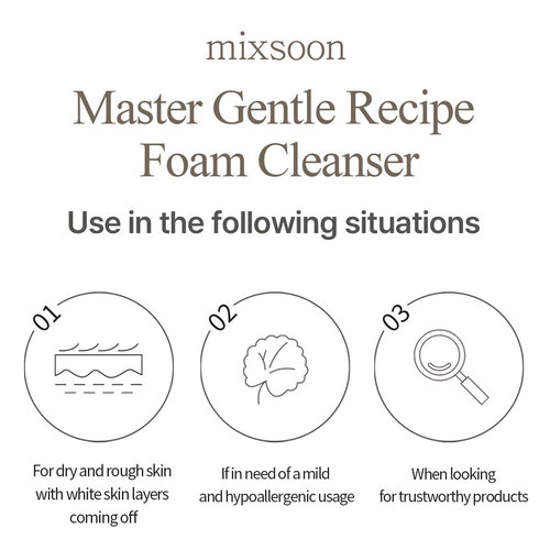 Mixsoon Master Gentle Recipe Foam Cleanser Mixsoon Master Gentle Recipe Foam Cleanser