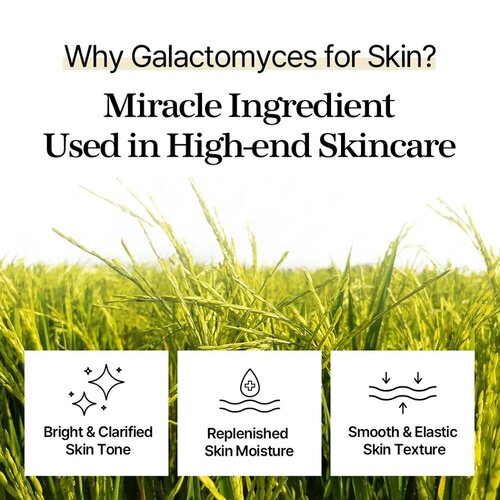 Mixsoon Galactomyces Toner Pad Mixsoon Galactomyces Toner Pad