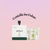 Centella Asiatica: Wirkung, Vorteile & Top-Produkte