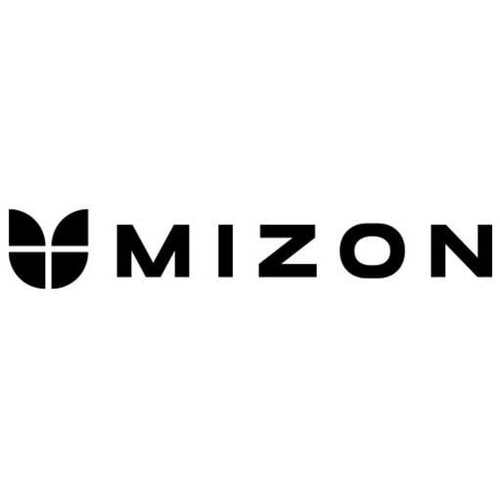 Mizon