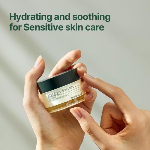 Pyunkang Yul Calming Moisture Repair Balm