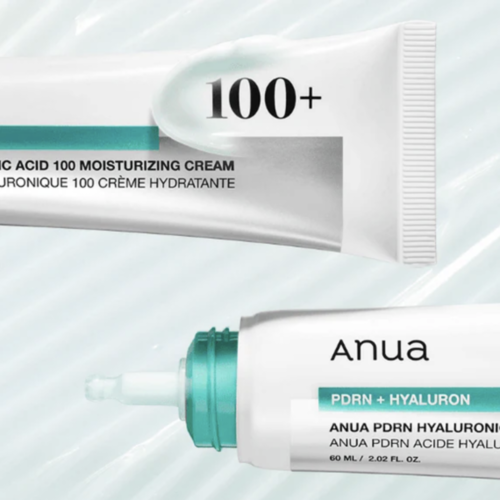 Anua PDRN Hyaluronic Acid 100 Moisture Cream Anua PDRN Hyaluronic Acid 100 Moisture Cream