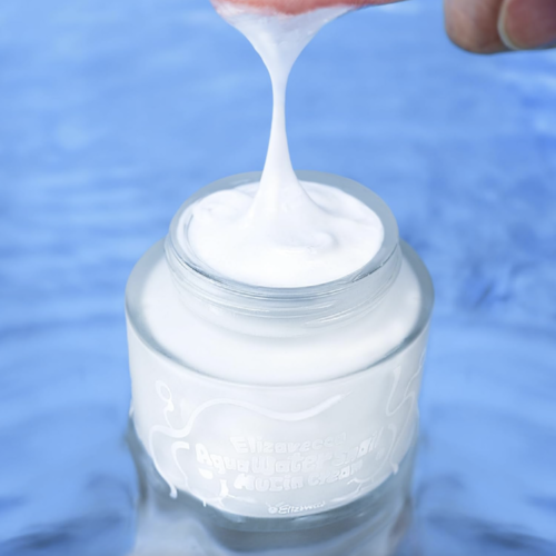 Elizavecca Aqua Water Snail Mucin Cream Elizavecca Aqua Water Snail Mucin Cream