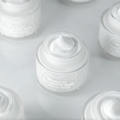 Elizavecca Aqua Water Snail Mucin Cream Elizavecca Aqua Water Snail Mucin Cream