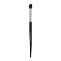Concealer Brush 484