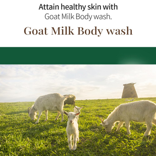 Goat Milk Original Body Wash