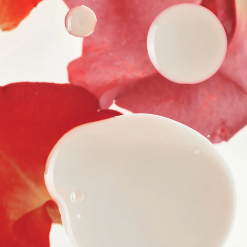 Haruharu Wonder Rose PDRN Soothing Serum Haruharu Wonder Rose PDRN Soothing Serum