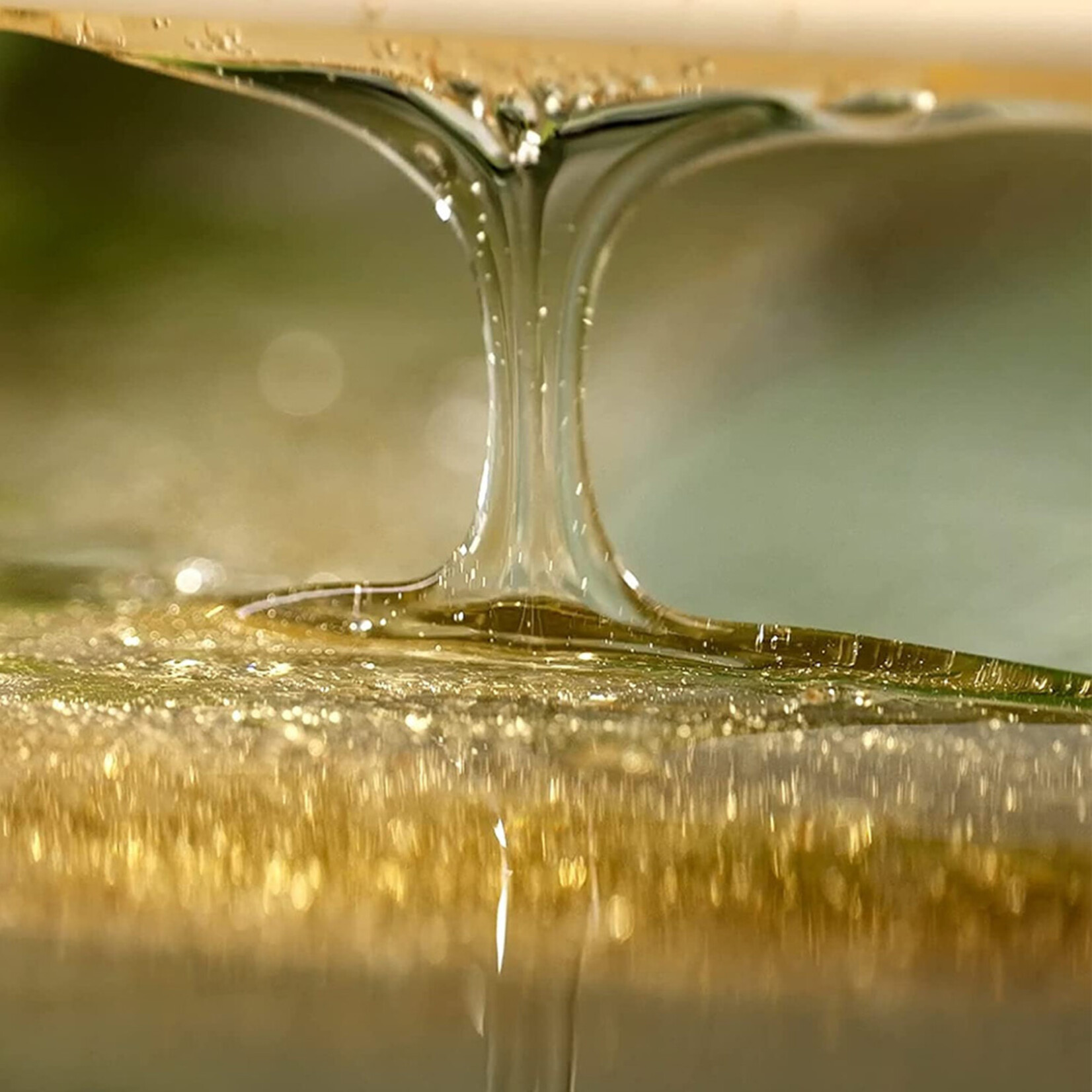 British M Kombucha Shampoo Refill