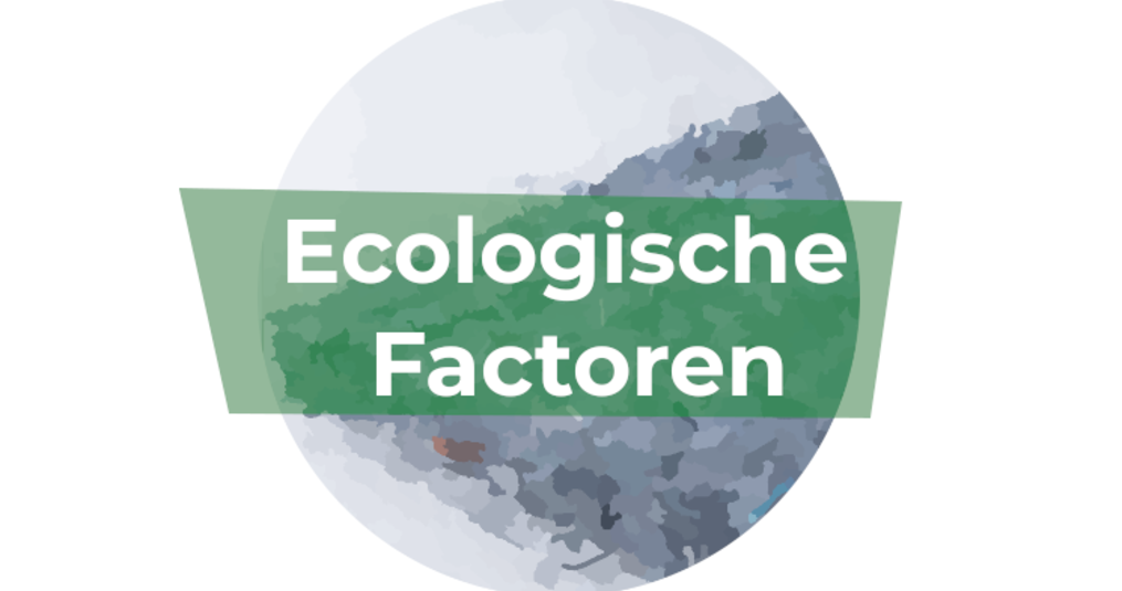 Welk Isolatiemateriaal kies jij? De ecologische factoren