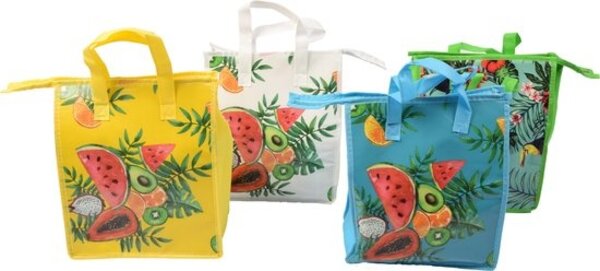 Discountershop Fresh & Cold koeltas - Lunchtas - Koeltas Lunchbox Leuke Vrolijke Picknicktas koeltas strand| Koelbox | dames 8 liter Discountershop Fresh & Cold koeltas - Lunchtas - Koeltas Lunchbox Leuke Vrolijke Picknicktas koeltas strand| Koelbox | dames 8 liter
