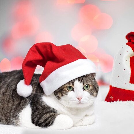 Discountershop 3 Pieces Santa Hat |Merry Christmas |100% Polyester Kids Luxury Christmas Hat | santa hats