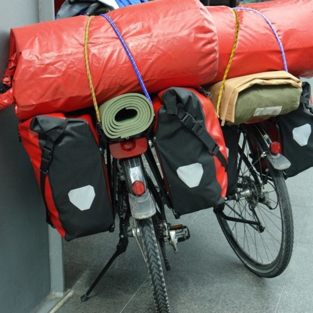 Discountershop bungee cords - Spider binder - bungee cords - bungee cord 60cm - bungee cord bicycle - 2 arms - Uni- luggage spider - spider binder with two elastic arms - Elastic binders - with hook - Hook - Binders Discountershop bungee cords - Spider binder - bungee cords - bungee cord 60cm - bungee cord bicycle - 2 arms - Uni- luggage spider - spider binder with two elastic arms - Elastic binders - with hook - Hook - Binders