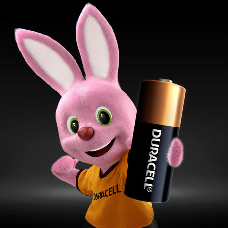 Duracell BATTERIJ MN21/A23 - 12 V Long lasting - Langdurig 2 stuks - toepasselijk met code - A23-A23A-V23GA-LRV08-8LR932 Duracell BATTERIJ MN21/A23 - 12 V Long lasting - Langdurig 2 stuks - toepasselijk met code - A23-A23A-V23GA-LRV08-8LR932