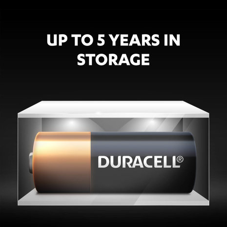 Duracell BATTERIJ MN21/A23 - 12 V Long lasting - Langdurig 2 stuks - toepasselijk met code - A23-A23A-V23GA-LRV08-8LR932 Duracell BATTERIJ MN21/A23 - 12 V Long lasting - Langdurig 2 stuks - toepasselijk met code - A23-A23A-V23GA-LRV08-8LR932
