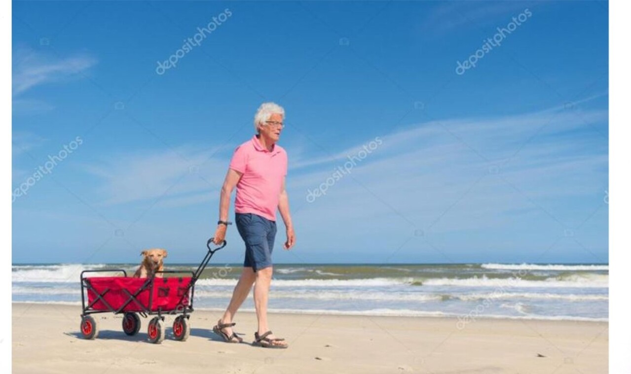 Delaram Opvouwbare Bolderkar – Multifunctionele Kar – Handwagen - 90x50x100cm – Rood Delaram Opvouwbare Bolderkar – Multifunctionele Kar – Handwagen - 90x50x100cm – Rood