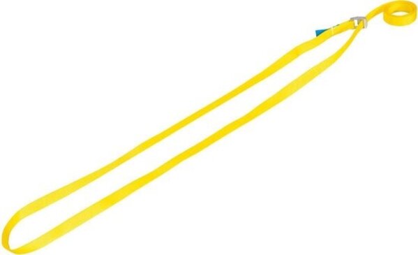 Merkloos 2X Snelsluiting Spanband 2,5 meter 100 Kg Geel - snelsluiting Merkloos 2X Snelsluiting Spanband 2,5 meter 100 Kg Geel - snelsluiting