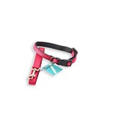 Discountershop Honden Halsband met uitlaatriem -Roze - Hondentuig met reflector - Wandelen - Uitlaten - voor Meduim honden - Uitlaatriem 100 cm - Halsband 33 - 50 cm Discountershop Honden Halsband met uitlaatriem -Roze - Hondentuig met reflector - Wandelen - Uitlaten - voor Meduim honden - Uitlaatriem 100 cm - Halsband 33 - 50 cm