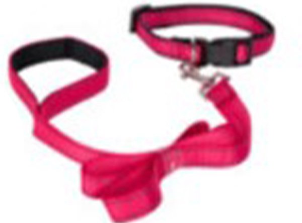 Discountershop Honden Halsband met uitlaatriem -Roze - Hondentuig met reflector - Wandelen - Uitlaten - voor Meduim honden - Uitlaatriem 100 cm - Halsband 33 - 50 cm Discountershop Honden Halsband met uitlaatriem -Roze - Hondentuig met reflector - Wandelen - Uitlaten - voor Meduim honden - Uitlaatriem 100 cm - Halsband 33 - 50 cm