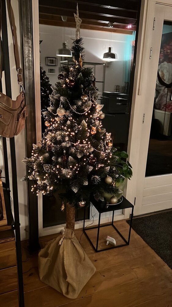 Discountershop Kleine Kerstballen met 50 Kerstbalhaakjes 3-4cm 44-delig |decoratie met en piek goud bruin met glitters ketting |kunststof kerstbal