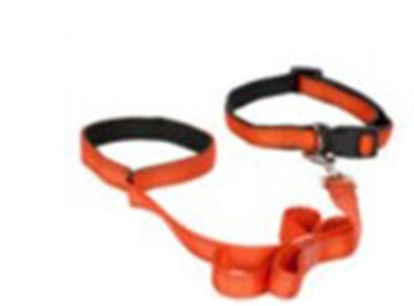 Discountershop Honden Halsband met uitlaatriem -Oranje - Hondentuig met reflector - Wandelen - Uitlaten - Medium honden - Uitlaatriem 100 cm - Halsband 33 - 50 cm Discountershop Honden Halsband met uitlaatriem -Oranje - Hondentuig met reflector - Wandelen - Uitlaten - Medium honden - Uitlaatriem 100 cm - Halsband 33 - 50 cm