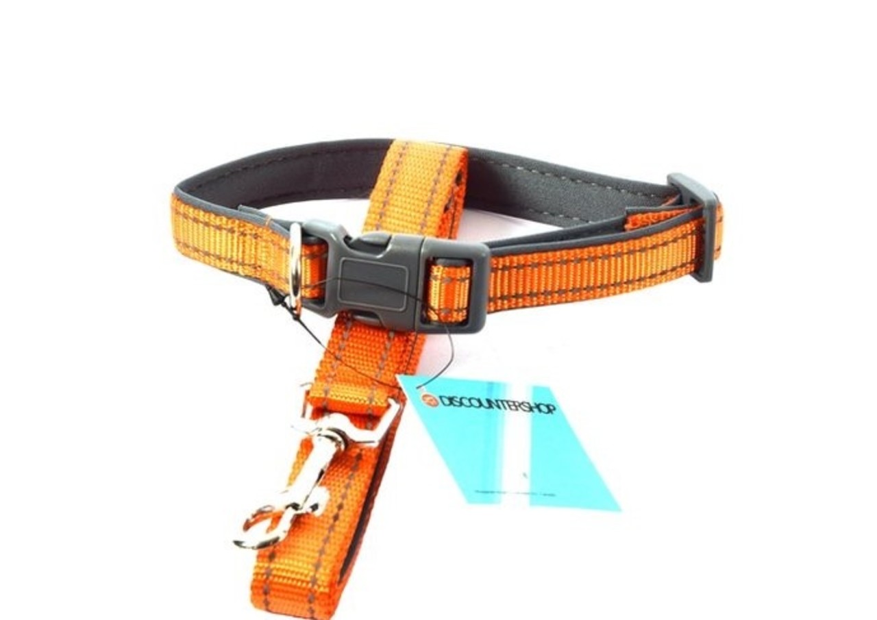 Discountershop Honden Halsband met uitlaatriem -Oranje - Hondentuig met reflector - Wandelen - Uitlaten - Medium honden - Uitlaatriem 100 cm - Halsband 33 - 50 cm Discountershop Honden Halsband met uitlaatriem -Oranje - Hondentuig met reflector - Wandelen - Uitlaten - Medium honden - Uitlaatriem 100 cm - Halsband 33 - 50 cm