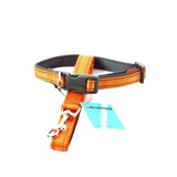 Discountershop Dog Collar with Exhaust Leash - Orange - Dog Harness with Reflector - Walking - Walking - Medium Dogs - Exhaust Leash 100 cm - Collar 33 - 50 cm Discountershop Dog Collar with Exhaust Leash - Orange - Dog Harness with Reflector - Walking - Walking - Medium Dogs - Exhaust Leash 100 cm - Collar 33 - 50 cm