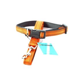 Discountershop Honden Halsband met uitlaatriem -Oranje - Hondentuig met reflector - Wandelen - Uitlaten - Medium honden - Uitlaatriem 100 cm - Halsband 33 - 50 cm Discountershop Honden Halsband met uitlaatriem -Oranje - Hondentuig met reflector - Wandelen - Uitlaten - Medium honden - Uitlaatriem 100 cm - Halsband 33 - 50 cm