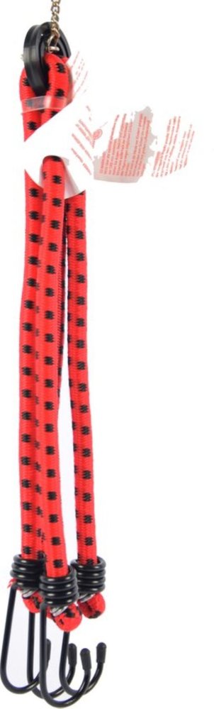 Discountershop Lashing straps - Luggage spider 4 hooks - Spider binder - lashing straps - lashing straps - bicycle lashing straps - 4 arms - Uni- Red - luggage spider - spider binder with four elastic arms - elastic binders - with hook - Hook - Binders Discountershop Lashing straps - Luggage spider 4 hooks - Spider binder - lashing straps - lashing straps - bicycle lashing straps - 4 arms - Uni- Red - luggage spider - spider binder with four elastic arms - elastic binders - with hook - Hook - Binders