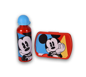 Disney Broodtrommel | broodtrommel kind | 3 Vakjes | Met bidon | 500 ml | Drinkfles | kunstof/aluminium | BPA Vrij | Brooddoos | 10cm*20cm*8cm Disney Broodtrommel | broodtrommel kind | 3 Vakjes | Met bidon | 500 ml | Drinkfles | kunstof/aluminium | BPA Vrij | Brooddoos | 10cm*20cm*8cm