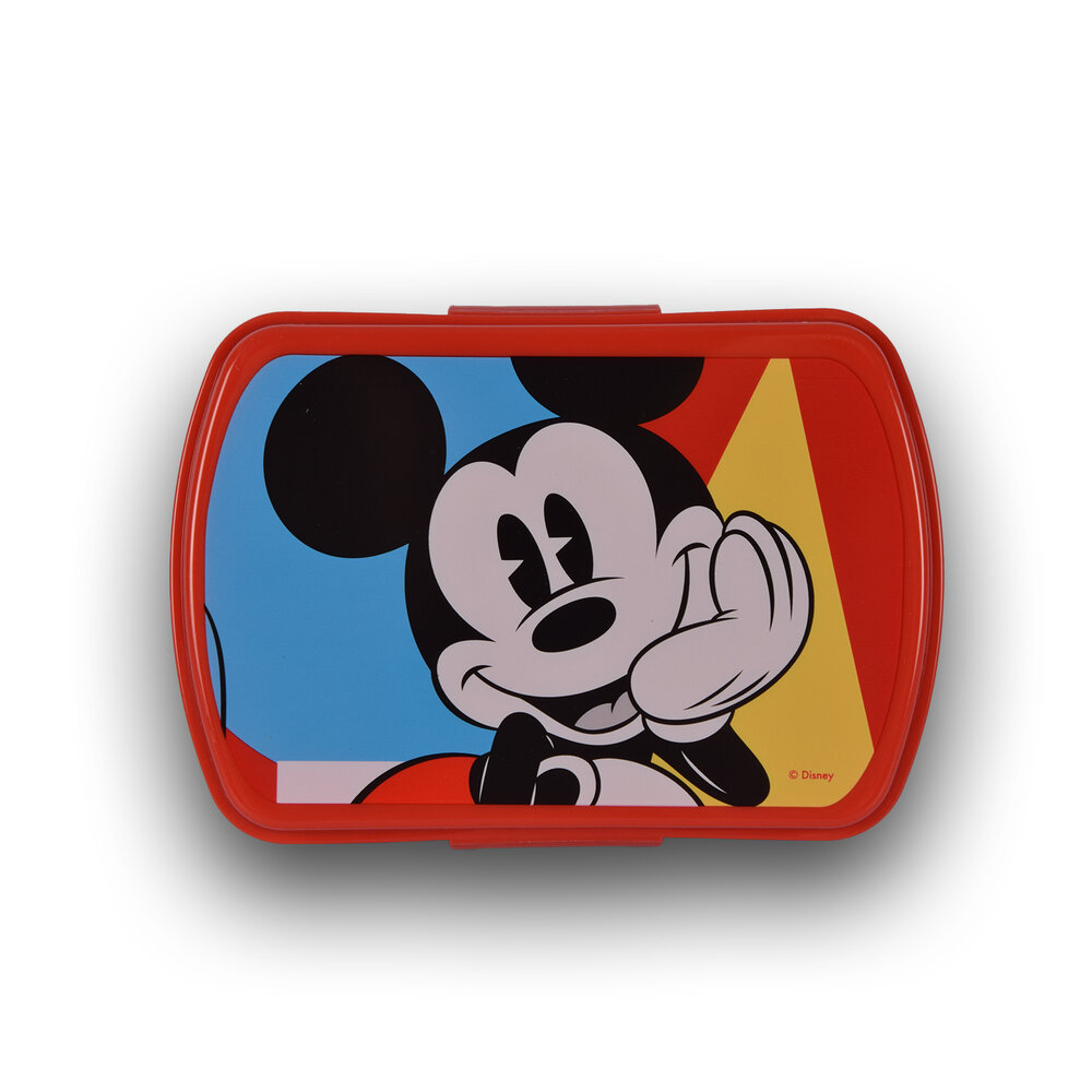 Disney Bread bin | lunch box child | 3 Boxes | With water bottle | 500ml | Drinking bottle | plastic/aluminum | BPA Free | Bread box | 10cm*20cm*8cm