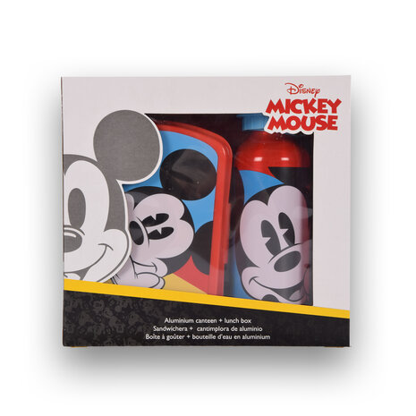 Disney Bread bin | lunch box child | 3 Boxes | With water bottle | 500ml | Drinking bottle | plastic/aluminum | BPA Free | Bread box | 10cm*20cm*8cm