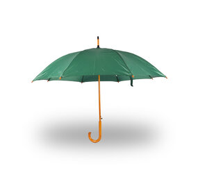 Discountershop Groene Paraplu 98 cm – Windproof Paraplu voor Volwassenen | Regenparaplu met Houten Stok en Handvat
