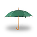 Discountershop Automatische Groene Paraplu 98 cm – Windproof Paraplu voor Volwassenen | Grote Stevige Regenparaplu met Houten Stok en Handvat