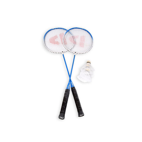 Discountershop Badminton Set for 16 Players – 8 Sets with 16 Blue Bioplastic Rackets, 24 Shuttlecocks and Carry Bags for Schools and Groups