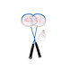 Discountershop Badmintonsets voor 2 tot 20 personen – Blauwe bioplastic rackets met shuttles en draaghoes voor tuin, camping, school en evenementen