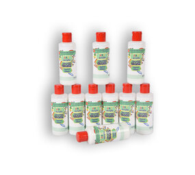 Discountershop 10 stuks varnish gloss 100ml | Acrylvernis | kunststof | voor kinderen en volwassen | 11.5cm*3.5cm Discountershop 10 stuks varnish gloss 100ml | Acrylvernis | kunststof | voor kinderen en volwassen | 11.5cm*3.5cm